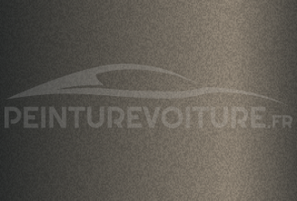Code peinture Nissan 161 Anthracite Met
