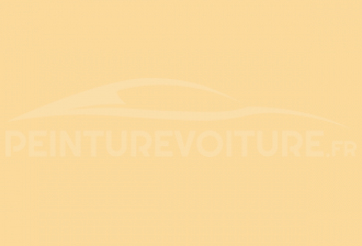 Code peinture Peugeot 1611 EBJ Jaune Tropic-mimosa
