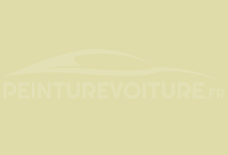 Code peinture Citroen 1616 Jaune Pastel