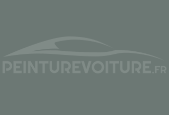 Code peinture Toyota 1620 Moon Grey