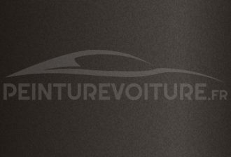 Code peinture Renault 165 Bronze
