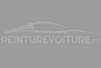 Code peinture Renault-Saviem (Vi) 1665 Gris