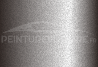 Code peinture Toyota 169 Warm Silver