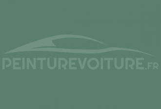 Code peinture Ral Design System 170 60 10 Vert