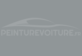 Code peinture General Motors (USA) 18-9234 Slate Gray 