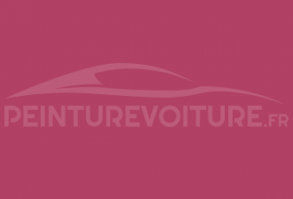 Code peinture Fiat 187 Rosa