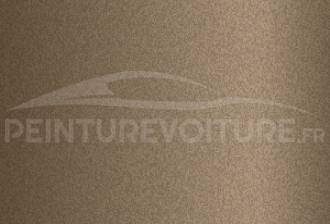 Code peinture Evo 19135 Champagner