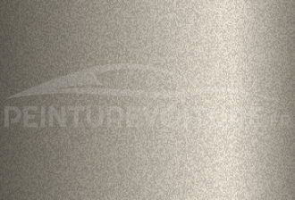 Code peinture Evo 19398 Bronzitbeige