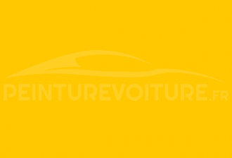 Code peinture Mercedes 1965 Amarelo Petropolis