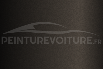 Code peinture General Motors (USA) 196V (GXS) Cyclone Grey