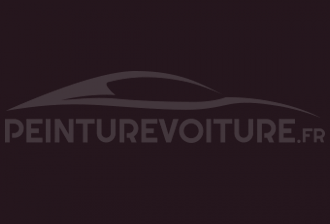 Code peinture Fiat 198 Viola Scuro-prugna