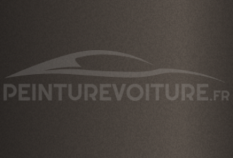 Code peinture General Motors (USA) 198V Sand Grey 