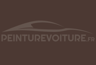 Code peinture Suzuki 19G Aukland Brown