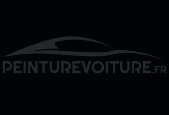 Code peinture General Motors (USA) 19U-491P Vortex Black