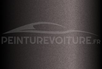 Code peinture Chevrolet 19U/98 Black
