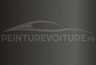 Code peinture Toyota 1C1/99 Dark Grey