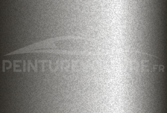 Code peinture Toyota 1C5 Silver Graphite
