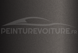 Code peinture Jaguar 1DN Charente Grey