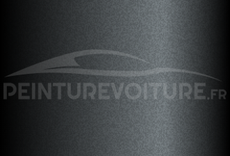 Code peinture Toyota 1F6 Dark Gray