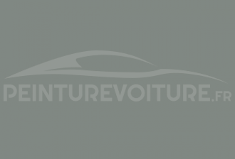Code peinture Ford 1JJAWHA Cactus Gray