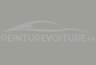 Code peinture Toyota 1M4 Lt. Gray