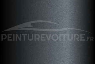 Code peinture Suzuki 1WV Charcoal Grey