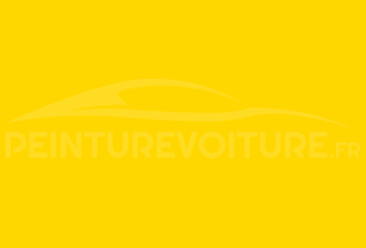 Code peinture Zastava-Yugo 200 Yellow