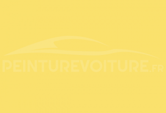 Code peinture GEELY 201 Pineapple Yellow