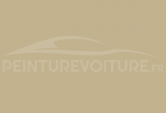 Code peinture Fiat 203/55 Avorio