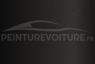 Code peinture Toyota 203 Black