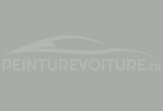 Code peinture Innocenti 2039 Grigio Lago