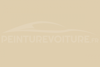 Code peinture Fiat 204 Beige