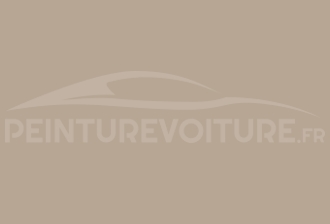 Code peinture Skoda 2040 Taubenbeige-pebblestone