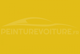 Code peinture Fiat 205 Giallo