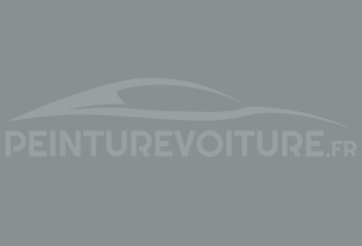 Code peinture Renault 205100 Ardoise Tres Clair