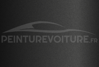Code peinture Renault 205111 Gris Xerus Mat