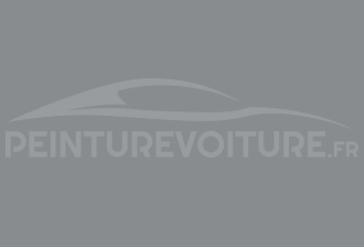 Code peinture Renault 205120 Gris Clair