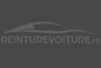 Code peinture Renault 205128 Muscade Fonce/grey