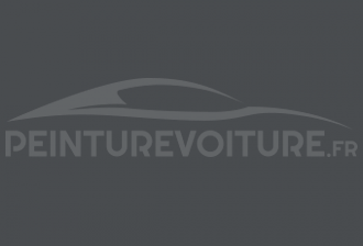 Code peinture Renault 20517 Cendre Moyen Matt