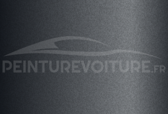 Code peinture Renault 205188 Gris Eclipse Mat