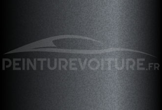 Code peinture Renault 205194 Noir Nacre Camaieu