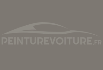 Code peinture Renault 205224 Gris Tropique Mat