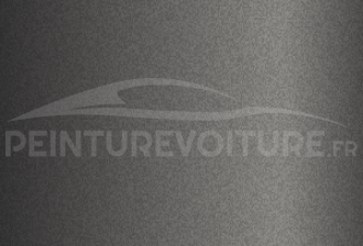 Code peinture Renault 205248 Gris