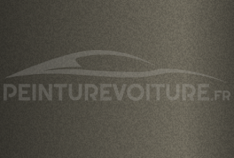 Code peinture Renault 205261 Gris Beige