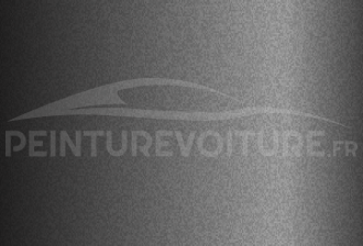 Code peinture Renault 205279 Noir De Siam