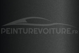 Code peinture Renault 205288 Noir Profond
