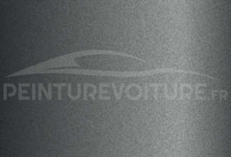 Code peinture Renault 20529 Gris