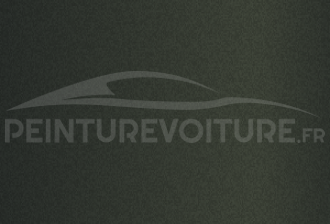 Code peinture Renault 205308 Gris Olive