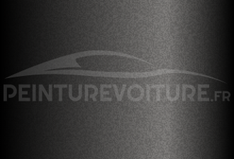Code peinture Renault 205309 Gris Etain
