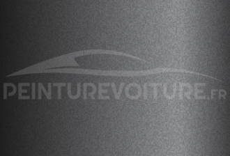 Code peinture Renault 205313 Noir Matt